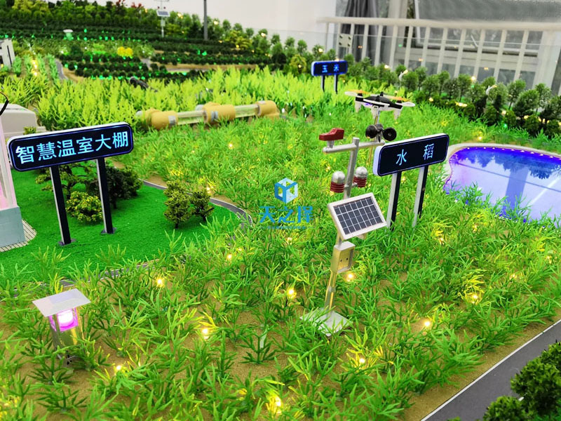 �d�(y��ng)�r(n��ng)�I(y��)ģ�����r(n��ng)�I(y��)�Nֲɳ�P(p��n)ģ��